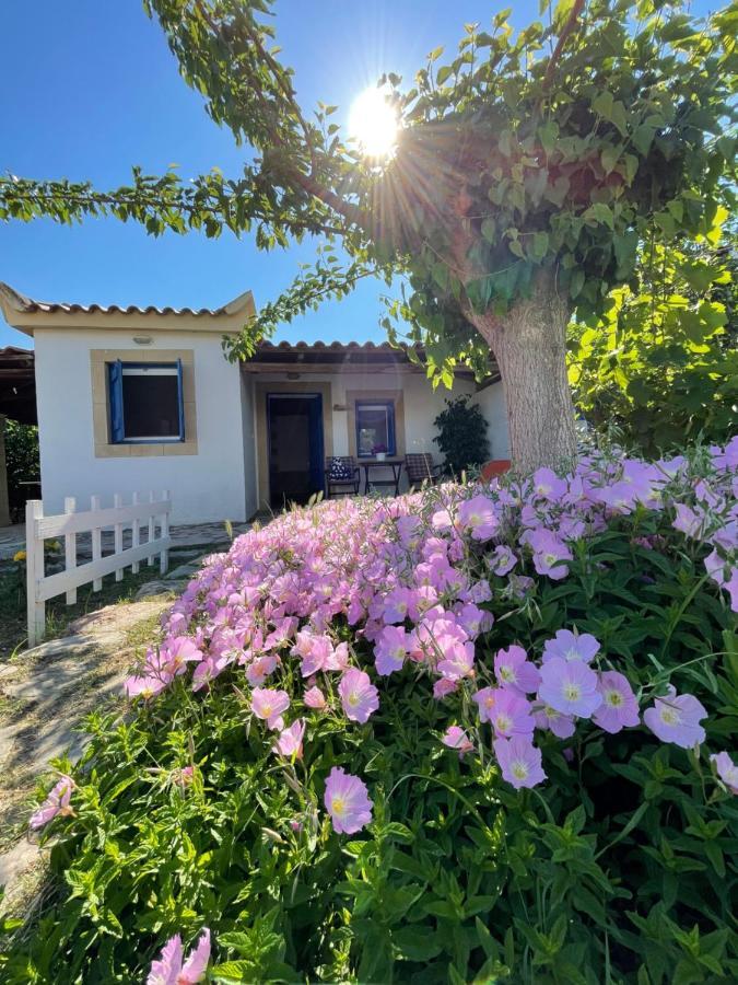 Vasilopoulos Estate Koroni (Messinia)